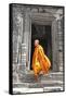 Buddhist Monk on Steps-Steven Boone-Framed Stretched Canvas