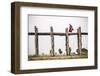 Buddhist Monk on U Bein Teak Bridge, Myanmar (Burma)-Matthew Williams-Ellis-Framed Photographic Print