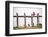 Buddhist Monk on U Bein Teak Bridge, Myanmar (Burma)-Matthew Williams-Ellis-Framed Photographic Print