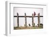 Buddhist Monk on U Bein Teak Bridge, Myanmar (Burma)-Matthew Williams-Ellis-Framed Photographic Print