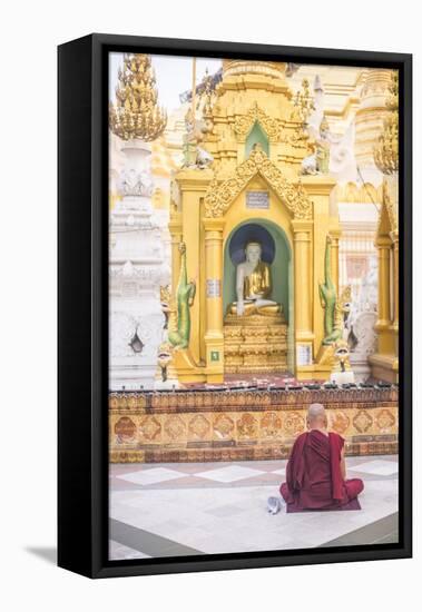 Buddhist Monk Praying at Shwedagon Pagoda (Shwedagon Zedi Daw) (Golden Pagoda), Myanmar (Burma)-Matthew Williams-Ellis-Framed Stretched Canvas