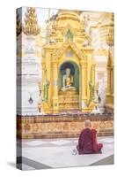 Buddhist Monk Praying at Shwedagon Pagoda (Shwedagon Zedi Daw) (Golden Pagoda), Myanmar (Burma)-Matthew Williams-Ellis-Stretched Canvas
