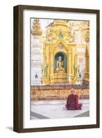 Buddhist Monk Praying at Shwedagon Pagoda (Shwedagon Zedi Daw) (Golden Pagoda), Myanmar (Burma)-Matthew Williams-Ellis-Framed Photographic Print