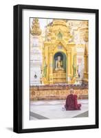 Buddhist Monk Praying at Shwedagon Pagoda (Shwedagon Zedi Daw) (Golden Pagoda), Myanmar (Burma)-Matthew Williams-Ellis-Framed Photographic Print