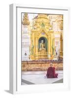 Buddhist Monk Praying at Shwedagon Pagoda (Shwedagon Zedi Daw) (Golden Pagoda), Myanmar (Burma)-Matthew Williams-Ellis-Framed Photographic Print