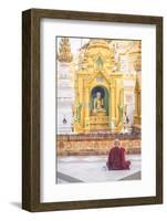 Buddhist Monk Praying at Shwedagon Pagoda (Shwedagon Zedi Daw) (Golden Pagoda), Myanmar (Burma)-Matthew Williams-Ellis-Framed Photographic Print