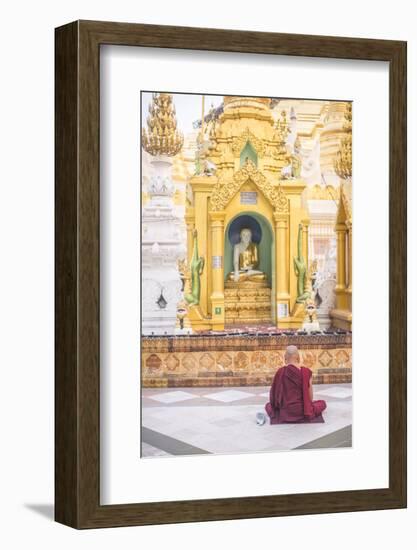 Buddhist Monk Praying at Shwedagon Pagoda (Shwedagon Zedi Daw) (Golden Pagoda), Myanmar (Burma)-Matthew Williams-Ellis-Framed Photographic Print