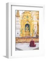 Buddhist Monk Praying at Shwedagon Pagoda (Shwedagon Zedi Daw) (Golden Pagoda), Myanmar (Burma)-Matthew Williams-Ellis-Framed Photographic Print