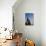 Buddhist Monk Praying at the Golden Rock of Nwa La Bo-Tuul-Photographic Print displayed on a wall