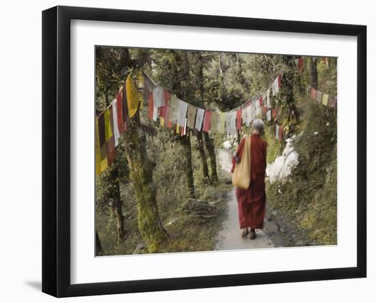 Buddhist Monk Walking Down Path, Mcleod Ganj, Dharamsala, Himachal Pradesh State, India-Jochen Schlenker-Framed Photographic Print