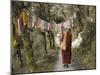 Buddhist Monk Walking Down Path, Mcleod Ganj, Dharamsala, Himachal Pradesh State, India-Jochen Schlenker-Mounted Photographic Print