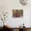 Buddhist Monk Worshipping at Shwedagon Paya (Shwe Dagon Pagoda), Yangon (Rangoon), Myanmar (Burma)-Gavin Hellier-Photographic Print displayed on a wall