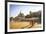 Buddhist Monks at a Square in Front of the Royal Palace, Phnom Penh, Cambodia, Indochina-Yadid Levy-Framed Photographic Print