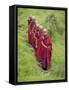 Buddhist Monks from Karchu Dratsang Monastery, Jankar, Bumthang, Bhutan-Angelo Cavalli-Framed Stretched Canvas
