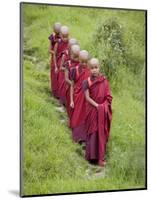 Buddhist Monks from Karchu Dratsang Monastery, Jankar, Bumthang, Bhutan-Angelo Cavalli-Mounted Photographic Print