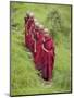 Buddhist Monks from Karchu Dratsang Monastery, Jankar, Bumthang, Bhutan-Angelo Cavalli-Mounted Photographic Print