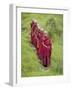 Buddhist Monks from Karchu Dratsang Monastery, Jankar, Bumthang, Bhutan-Angelo Cavalli-Framed Photographic Print