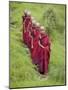 Buddhist Monks from Karchu Dratsang Monastery, Jankar, Bumthang, Bhutan-Angelo Cavalli-Mounted Photographic Print