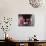 Buddhist Monks, Karchu Dratsang Monastery, Jankar, Bumthang, Bhutan-Angelo Cavalli-Photographic Print displayed on a wall