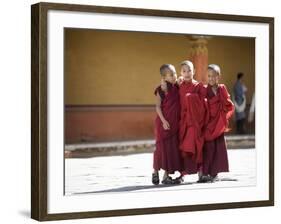 Buddhist Monks, Paro Dzong, Paro, Bhutan-Angelo Cavalli-Framed Photographic Print