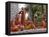 Buddhist Monks Relaxing Amongst the Temples of Angkor, Cambodia, Indochina, Southeast Asia-Andrew Mcconnell-Framed Stretched Canvas