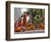 Buddhist Monks Relaxing Amongst the Temples of Angkor, Cambodia, Indochina, Southeast Asia-Andrew Mcconnell-Framed Photographic Print