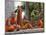 Buddhist Monks Relaxing Amongst the Temples of Angkor, Cambodia, Indochina, Southeast Asia-Andrew Mcconnell-Mounted Photographic Print