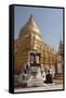 Buddhist Nun Meditating by Gold Stupa, Shwezigon Paya (Pagoda), Nyaung U-Stephen Studd-Framed Stretched Canvas