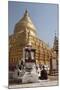 Buddhist Nun Meditating by Gold Stupa, Shwezigon Paya (Pagoda), Nyaung U-Stephen Studd-Mounted Photographic Print