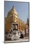 Buddhist Nun Meditating by Gold Stupa, Shwezigon Paya (Pagoda), Nyaung U-Stephen Studd-Mounted Photographic Print