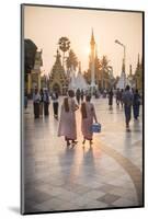 Buddhist Nuns in Pink Robes at Sunrise at Shwedagon Pagoda (Golden Pagoda), Myanmar (Burma)-Matthew Williams-Ellis-Mounted Photographic Print