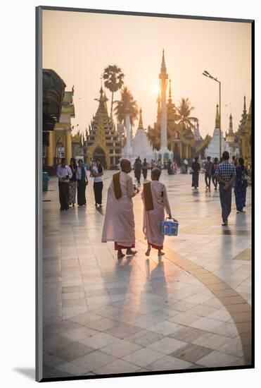 Buddhist Nuns in Pink Robes at Sunrise at Shwedagon Pagoda (Golden Pagoda), Myanmar (Burma)-Matthew Williams-Ellis-Mounted Photographic Print