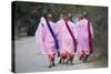 Buddhist Nuns in Traditional Robes, Sagaing, Myanmar (Burma), Southeast Asia-Alex Robinson-Stretched Canvas