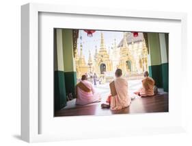 Buddhist Nuns Praying at Shwedagon Pagoda (Shwedagon Zedi Daw) (Golden Pagoda), Myanmar (Burma)-Matthew Williams-Ellis-Framed Photographic Print