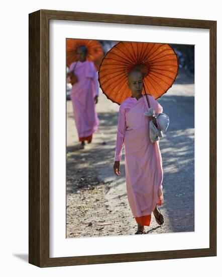 Buddhist Nuns with Bamboo-Framed Orange Umbrellas Walk Through Streets of Sittwe, Burma, Myanmar-Nigel Pavitt-Framed Photographic Print