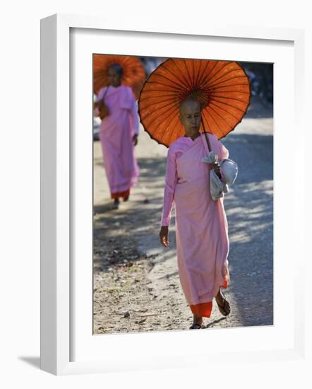 Buddhist Nuns with Bamboo-Framed Orange Umbrellas Walk Through Streets of Sittwe, Burma, Myanmar-Nigel Pavitt-Framed Photographic Print