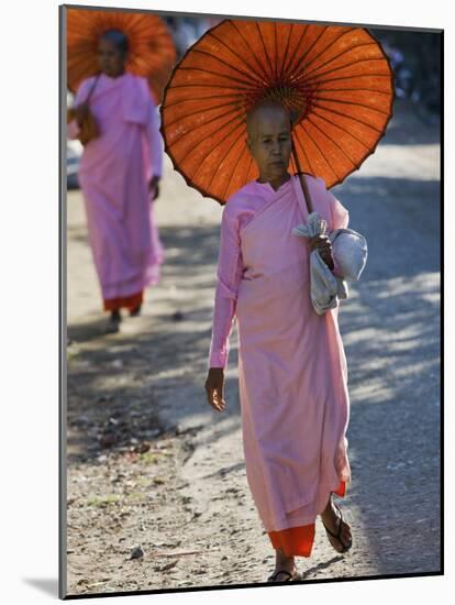Buddhist Nuns with Bamboo-Framed Orange Umbrellas Walk Through Streets of Sittwe, Burma, Myanmar-Nigel Pavitt-Mounted Photographic Print
