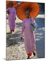 Buddhist Nuns with Bamboo-Framed Orange Umbrellas Walk Through Streets of Sittwe, Burma, Myanmar-Nigel Pavitt-Mounted Photographic Print