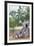 Buddhist Pilgrims-Christian Kober-Framed Photographic Print