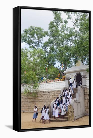 Buddhist Pilgrims-Christian Kober-Framed Stretched Canvas