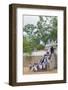 Buddhist Pilgrims-Christian Kober-Framed Photographic Print