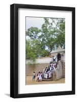 Buddhist Pilgrims-Christian Kober-Framed Photographic Print