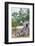 Buddhist Pilgrims-Christian Kober-Framed Photographic Print