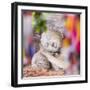 Buddhist Prayer Flags and Reclining Buddha in Nirvana at Gal Vihara Rock Temple-Matthew Williams-Ellis-Framed Photographic Print