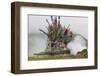 Buddhist Prayer Flags at Horse Festival, Tibetan Area, Sichuan, China-Peter Adams-Framed Photographic Print