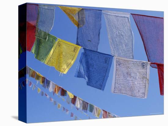 Buddhist Prayer Flags, Bodhnath, Kathmandu, Nepal, Asia-David Poole-Stretched Canvas