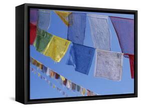 Buddhist Prayer Flags, Bodhnath, Kathmandu, Nepal, Asia-David Poole-Framed Stretched Canvas