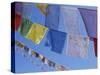 Buddhist Prayer Flags, Bodhnath, Kathmandu, Nepal, Asia-David Poole-Stretched Canvas