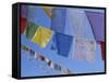 Buddhist Prayer Flags, Bodhnath, Kathmandu, Nepal, Asia-David Poole-Framed Stretched Canvas