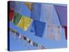 Buddhist Prayer Flags, Bodhnath, Kathmandu, Nepal, Asia-David Poole-Stretched Canvas